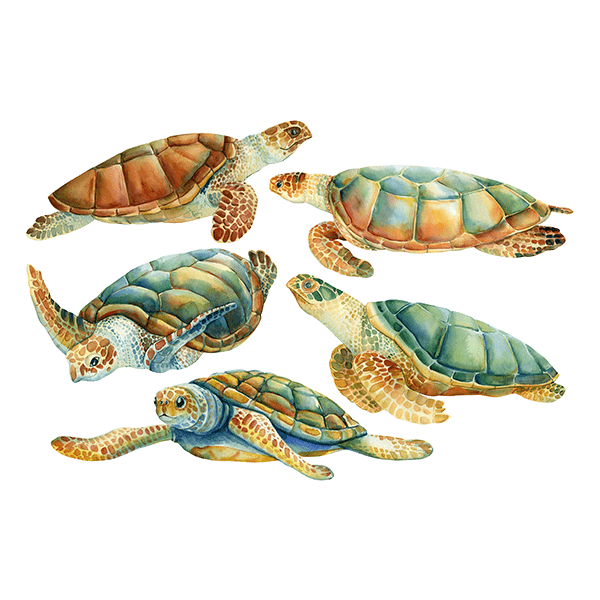 Wall Stickers: Turtle Family