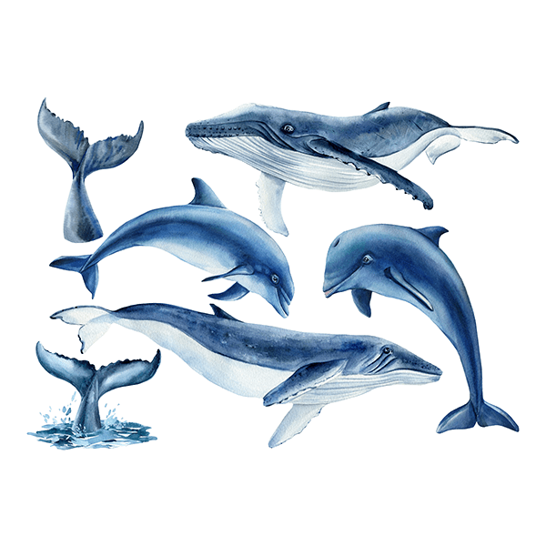 Stickers for Kids: Whales and Dolphins