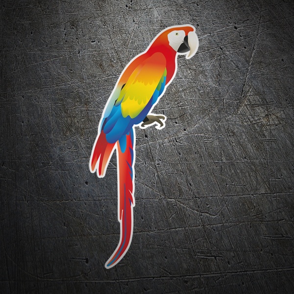 Car & Motorbike Stickers: Red macaw