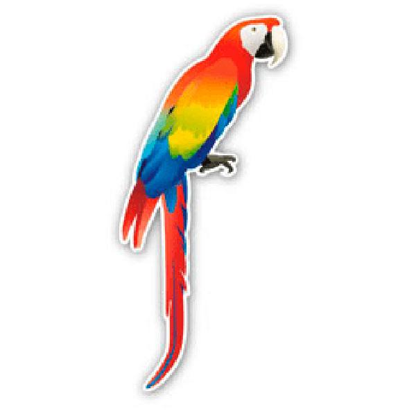 Car & Motorbike Stickers: Red macaw