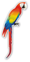 Car & Motorbike Stickers: Red macaw