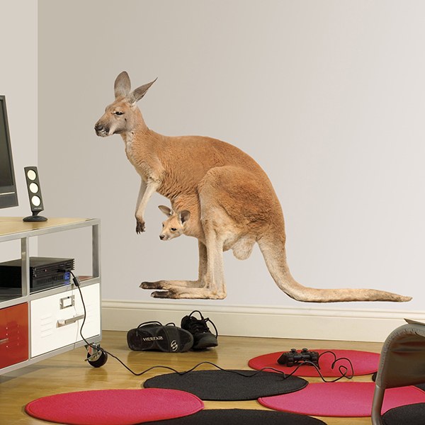 Wall Stickers: Kangaroo