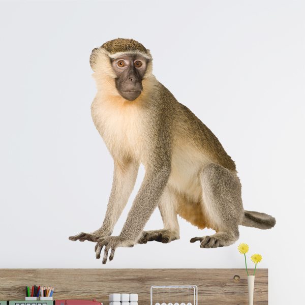 Wall Stickers: Macaque