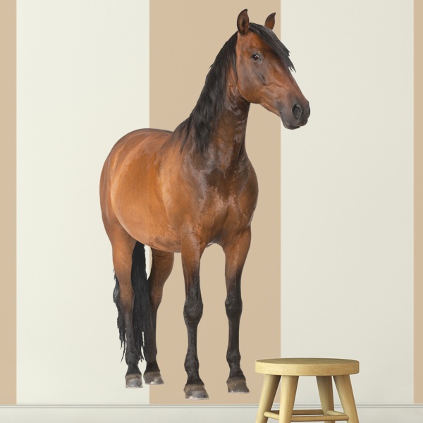 Wall Stickers: Pure blood horse
