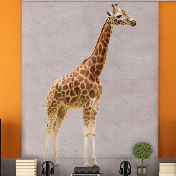 Wall Stickers: Giraffe full body