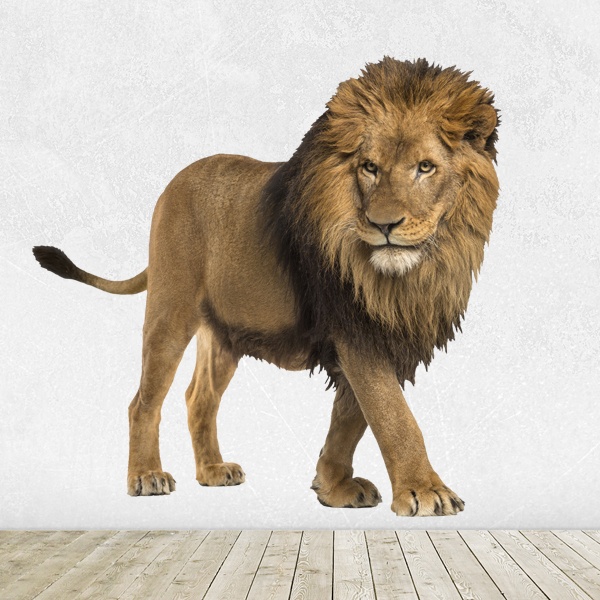 Wall Stickers: Watchful Lion