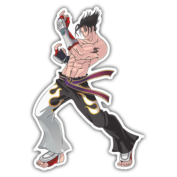 Car & Motorbike Stickers: Jin Kazama - Tekken