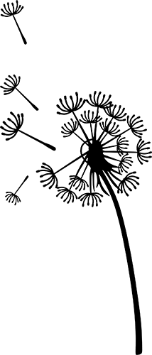 Car & Motorbike Stickers: Dandelion