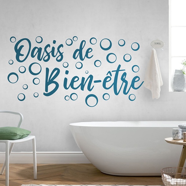 Salle de bain Vinyl Wall Sticker French Quotes Bathroom Wall Decals Art  Modern Bathroom Decor