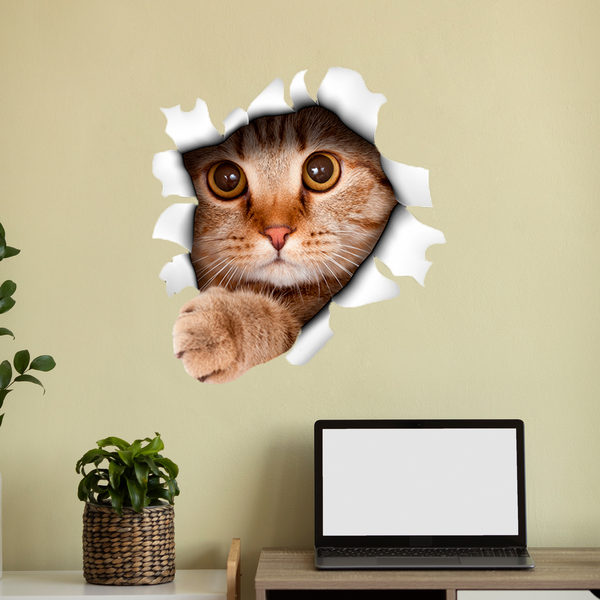 Wall Stickers: Hole kitten