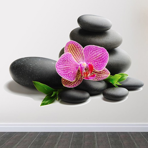 Wall Stickers: Orchid and stacked rocks