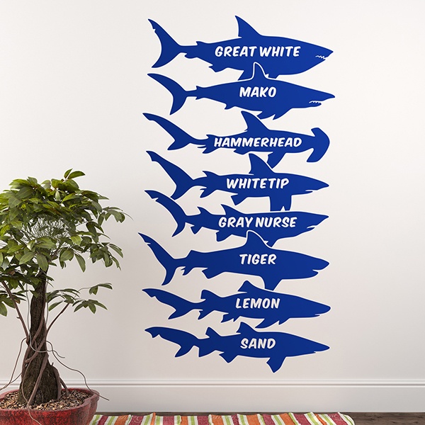 Wall Stickers: Sharks names English
