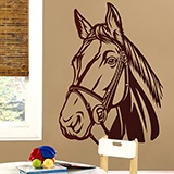Wall Stickers: Horse 2