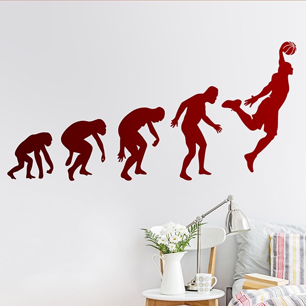 Wall Stickers: Evolution basketball