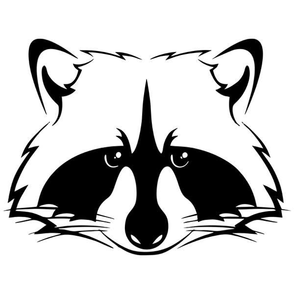Car & Motorbike Stickers: Raccoon procyon