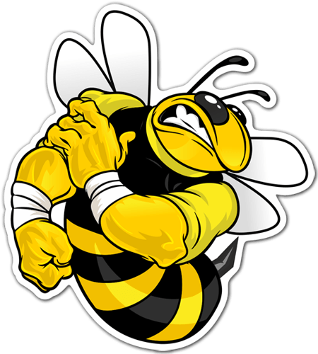 Car & Motorbike Stickers: Bee strong