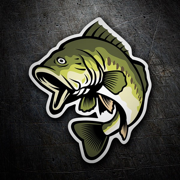 Car & Motorbike Stickers: Trout