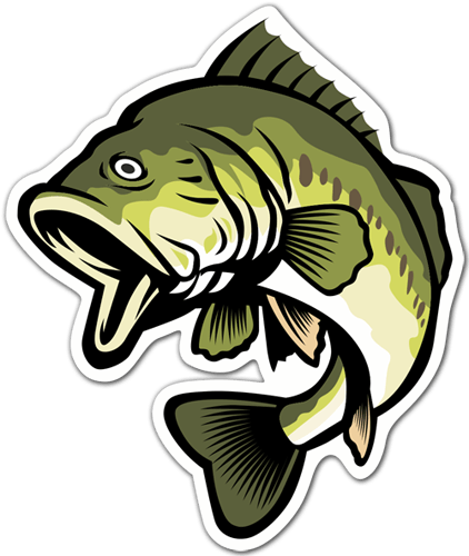 Car & Motorbike Stickers: Trout