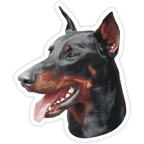 Car & Motorbike Stickers: Doberman Pinscher