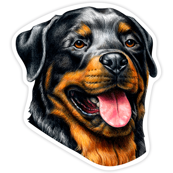 Car & Motorbike Stickers: Rottweiler