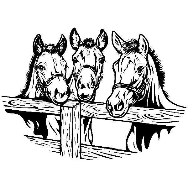 Wall Stickers: Three horses