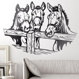 Wall Stickers: Three horses 2