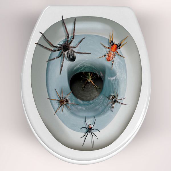 Wall Stickers: Spiders coming out of the toilet bowl