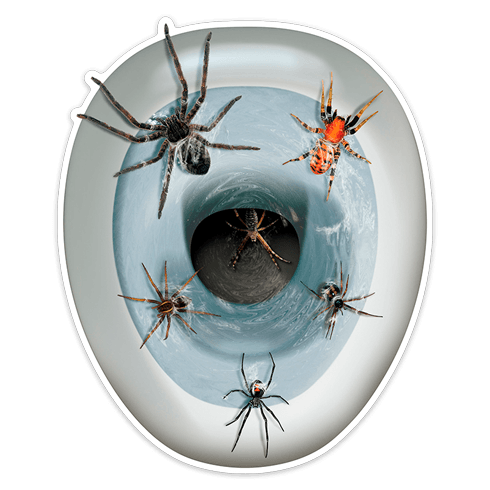 Wall Stickers: Spiders coming out of the toilet bowl