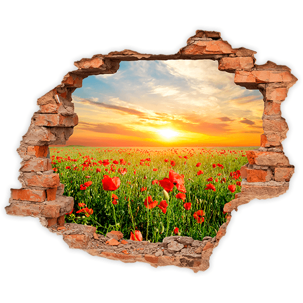 Wall Stickers: Hole Poppy field