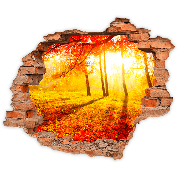 Wall Stickers: Hole Autumn sunset