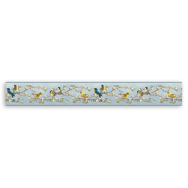 Wall Stickers: Wall Border Colorful birds