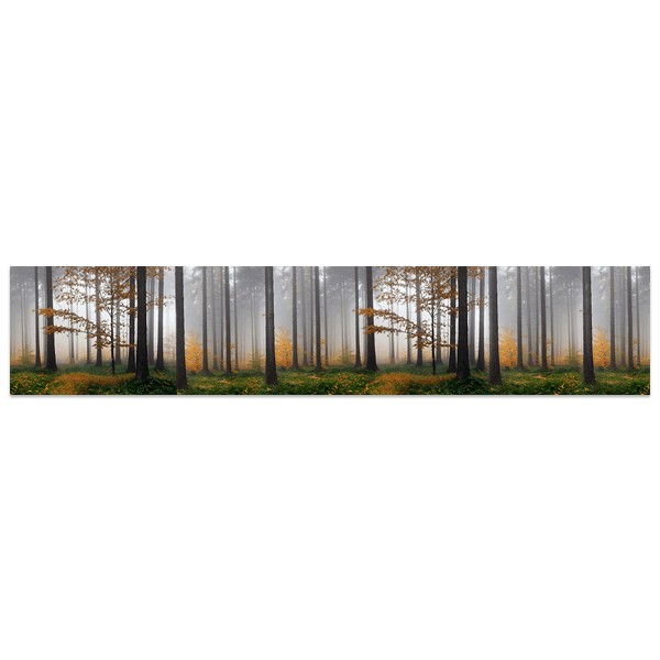 Wall Stickers: Fog in the forest