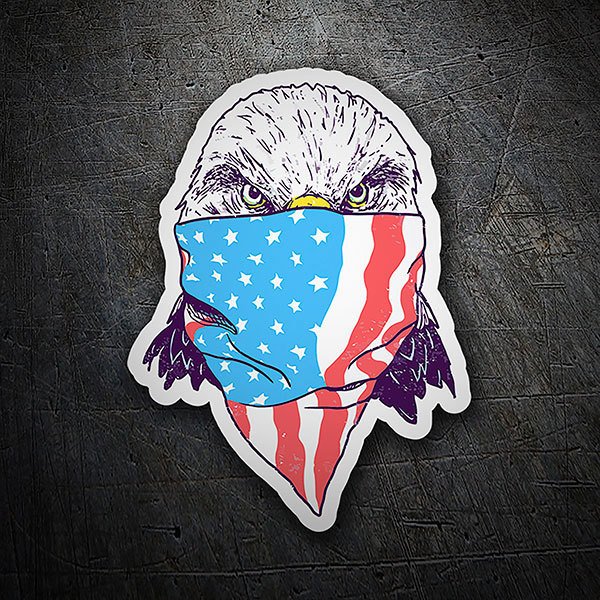 Car & Motorbike Stickers: American eagle