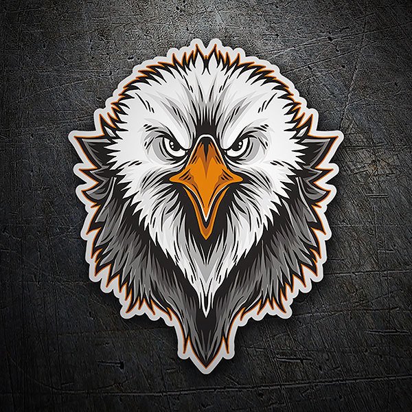 Car & Motorbike Stickers: Staring Eagle