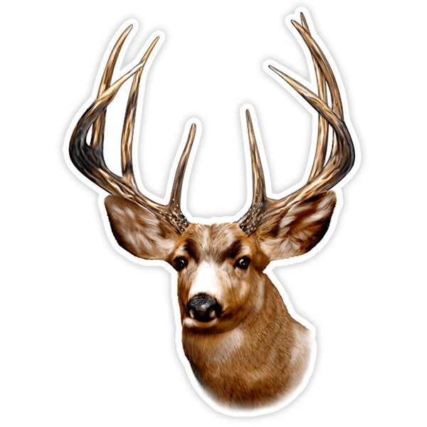 Car & Motorbike Stickers: Adult deer