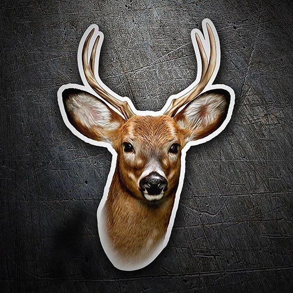 Car & Motorbike Stickers: Young deer