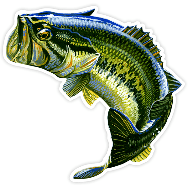 Car & Motorbike Stickers: Big mouth fish