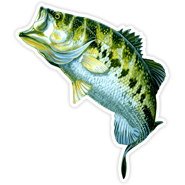 Car & Motorbike Stickers: Black sea bass