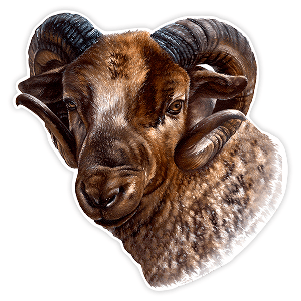 Car & Motorbike Stickers: Pyrenean goat