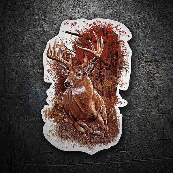 Car & Motorbike Stickers: Deer in the woods
