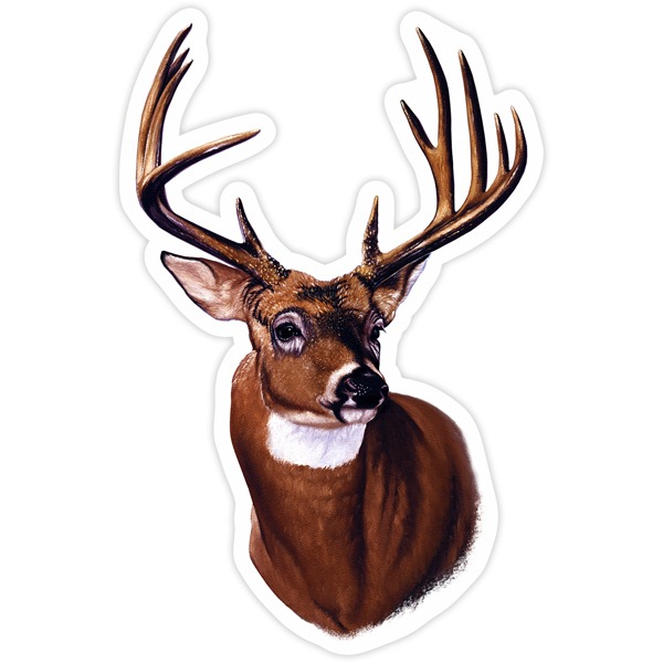 Car & Motorbike Stickers: Adult deer head