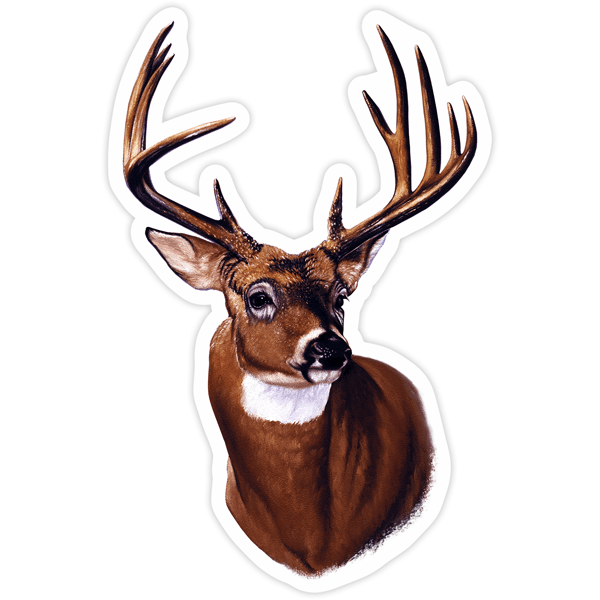 Car & Motorbike Stickers: Adult deer head