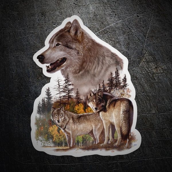Car & Motorbike Stickers: Couple of wolves