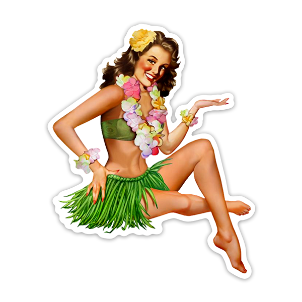 Car & Motorbike Stickers: Hawaiian 50