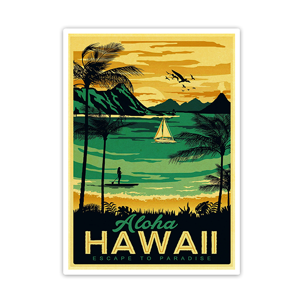 Car & Motorbike Stickers: Aloha Hawaii