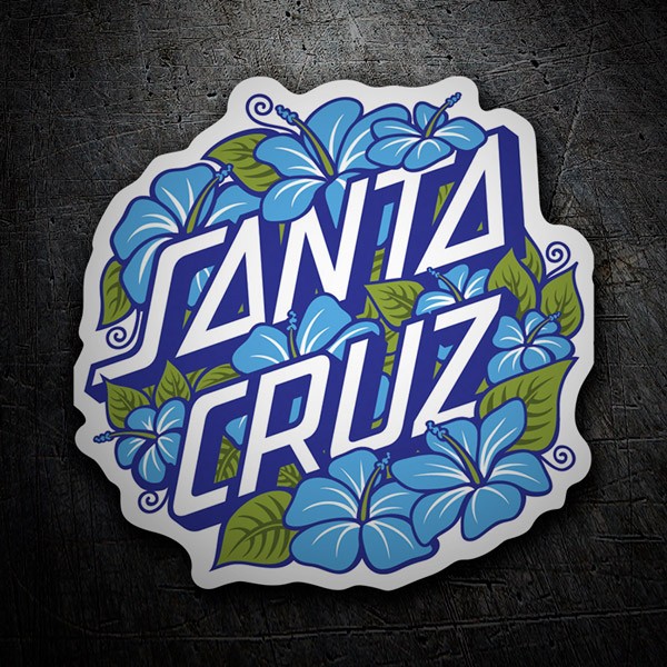 Car & Motorbike Stickers: Santa Cruz
