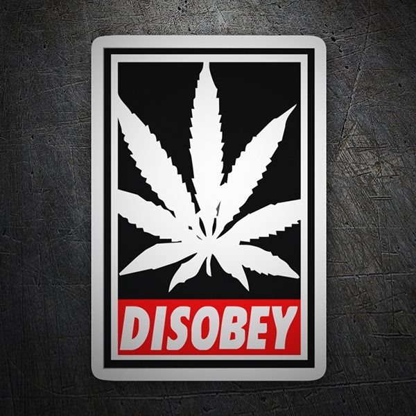 Car & Motorbike Stickers: DISOBEY