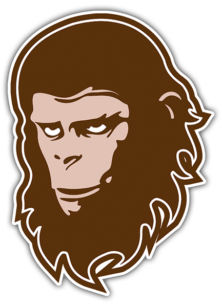 Car & Motorbike Stickers: planet of the apes