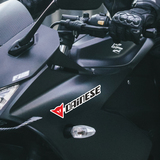 Car & Motorbike Stickers: Dainese classic 4