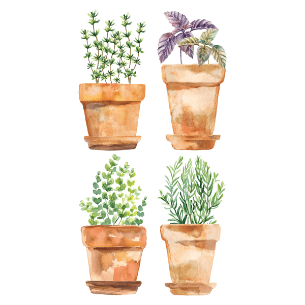 Wall Stickers: Pots